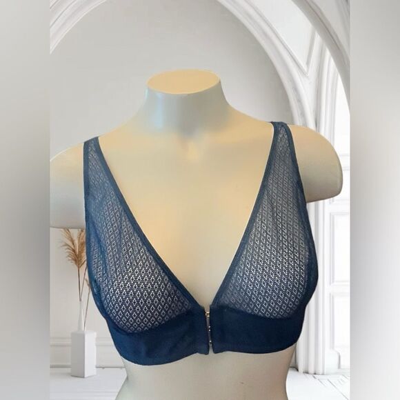 Addiction  Nouvelle Teal Semi Sheer No Wire Bra - Picture 1 of 4